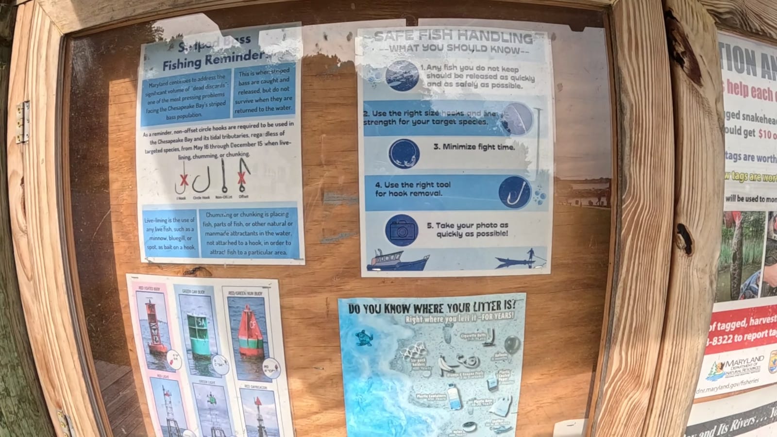 Fishing noticeboard with safe fish-handling advice and dated regulation reminders