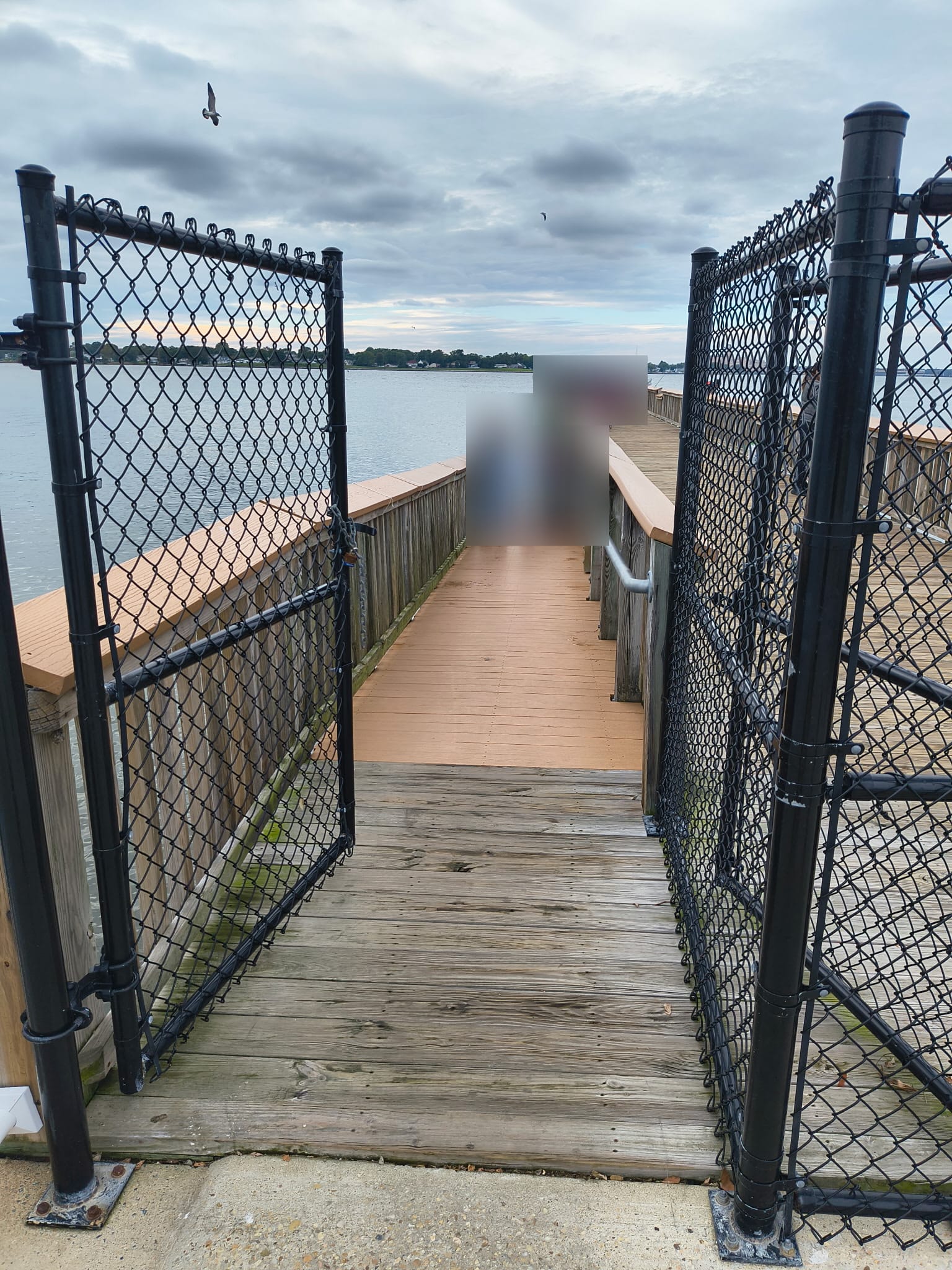 The ramped entrance onto the pier is visible between the gates. Dimensions, slope, and ADA compliance have not been measured. Visitors have been obscured.